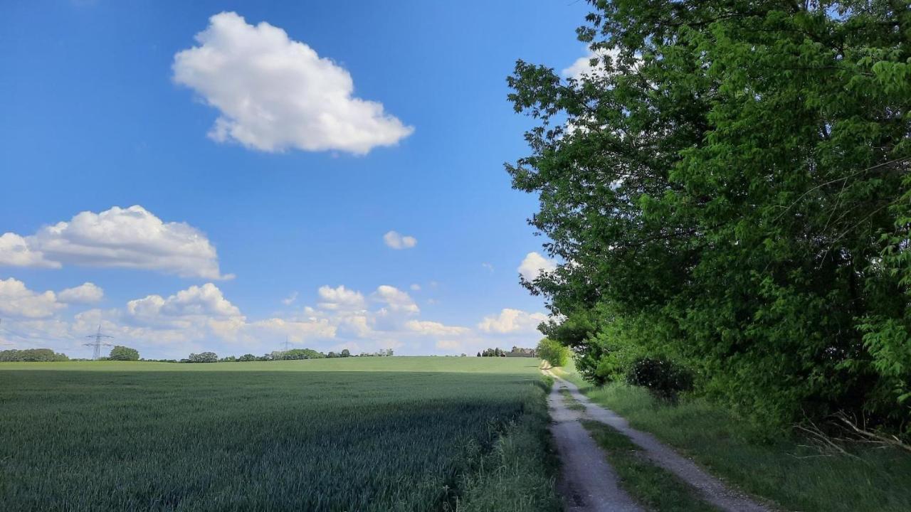 Vierseitenhof Hasenfelde - Ferienwohnung Feldblick Steinhofel Eksteriør bilde
